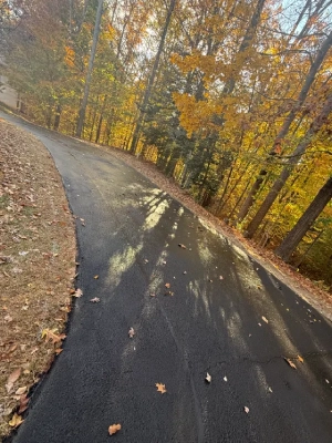 Young man smelling the potted plant<br />